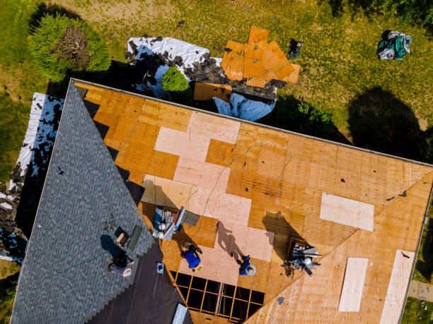 Best Storm Damage Roof Repair  in West Burlington, IA